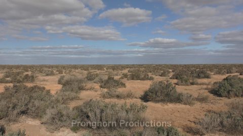 Australia Outback and Mallee Nature Footage Featured Image