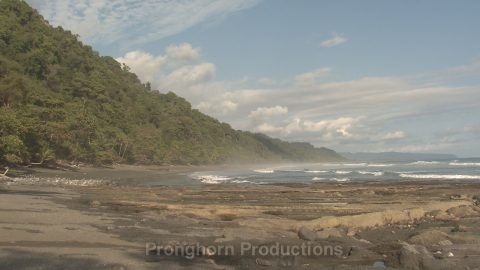 Corcovado National Park Nature Footage Demo