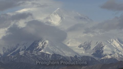 Denali National Park Nature Footage Demo Featured Image