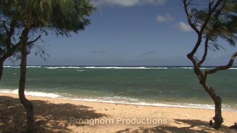 Hawaii Kauai Nature Footage Demo Featured Image