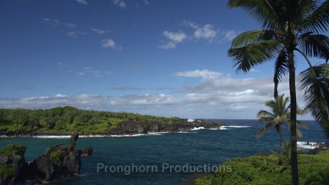 Hawaii Maui Nature Footage Demo Featured Image