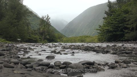 Hawaii Big Island Nature Footage Demo Featured Image